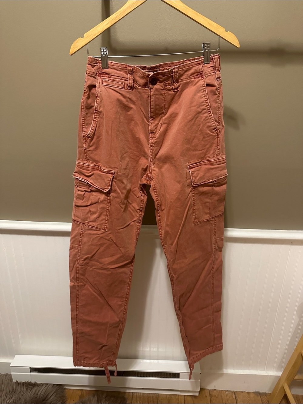American Eagle Outfitters Rust Cargo Pants